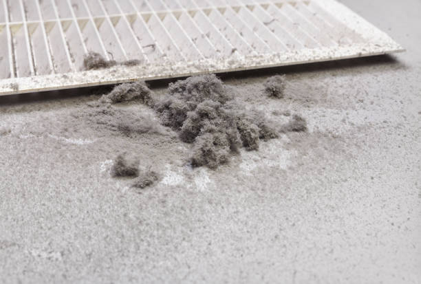 Best Local Air Duct Cleaning Services  in Ashville, AL
